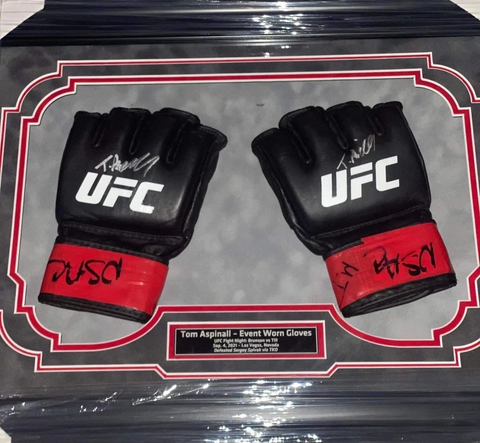 Fight Worn Gloves