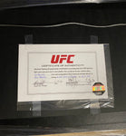 Ian “Hurricane” Heinsch UFC 245 Autographed & Framed Fight Worn Gloves